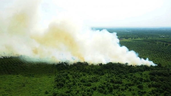 Studi Desa Sawit Tanggap Api, Kalimantan Barat dengan Pendekatan Disaster Risk Reduction